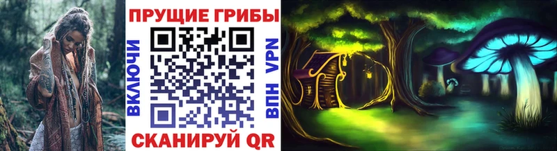 Псилоцибиновые грибы мицелий  Гремячинск 