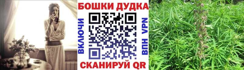 ОМГ ОМГ ссылка  магазин продажи наркотиков  Гремячинск  Каннабис индика 